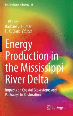 bokomslag Energy Production in the Mississippi River Delta
