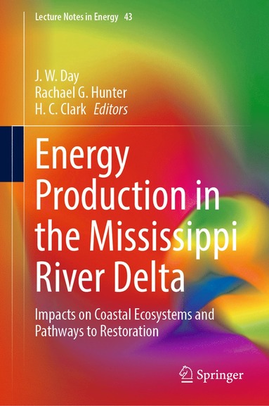 bokomslag Energy Production in the Mississippi River Delta