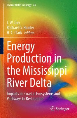 bokomslag Energy Production in the Mississippi River Delta