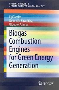 bokomslag Biogas Combustion Engines for Green Energy Generation