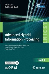 bokomslag Advanced Hybrid Information Processing