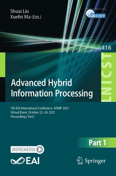 bokomslag Advanced Hybrid Information Processing