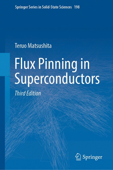 bokomslag Flux Pinning in Superconductors