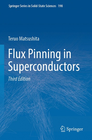 bokomslag Flux Pinning in Superconductors