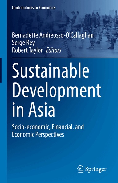 Bernadette Andreosso-O'Callaghan, Serge Rey, Robert Taylor - Sustainable Development in Asia, Inbunden