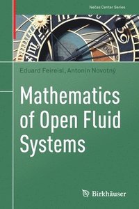bokomslag Mathematics of Open Fluid Systems