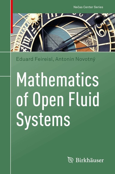 Eduard Feireisl, Antonin Novotný - Mathematics of Open Fluid Systems, Häftad