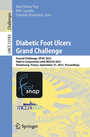 bokomslag Diabetic Foot Ulcers Grand Challenge