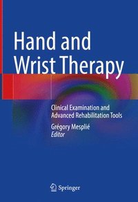 bokomslag Hand and Wrist Therapy