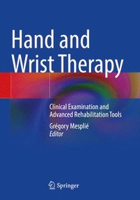 bokomslag Hand and Wrist Therapy