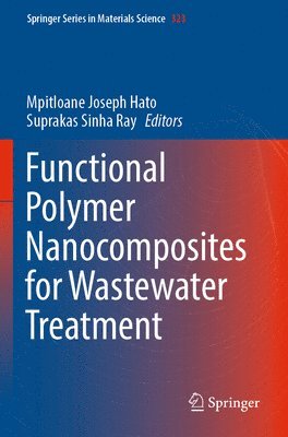 Mpitloane Joseph Hato, Suprakas Sinha Ray - Functional Polymer Nanocomposites for Wastewater Treatment, Häftad