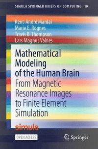 bokomslag Mathematical Modeling of the Human Brain