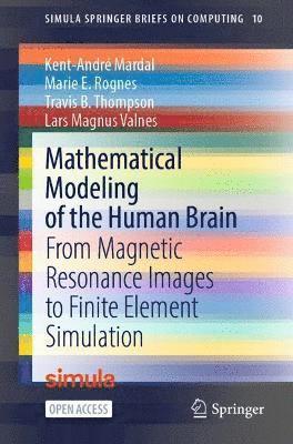 bokomslag Mathematical Modeling of the Human Brain