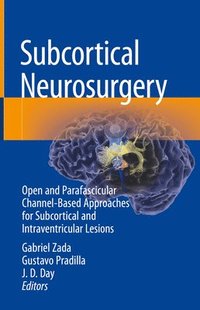 bokomslag Subcortical Neurosurgery