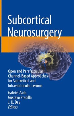 Subcortical Neurosurgery 1