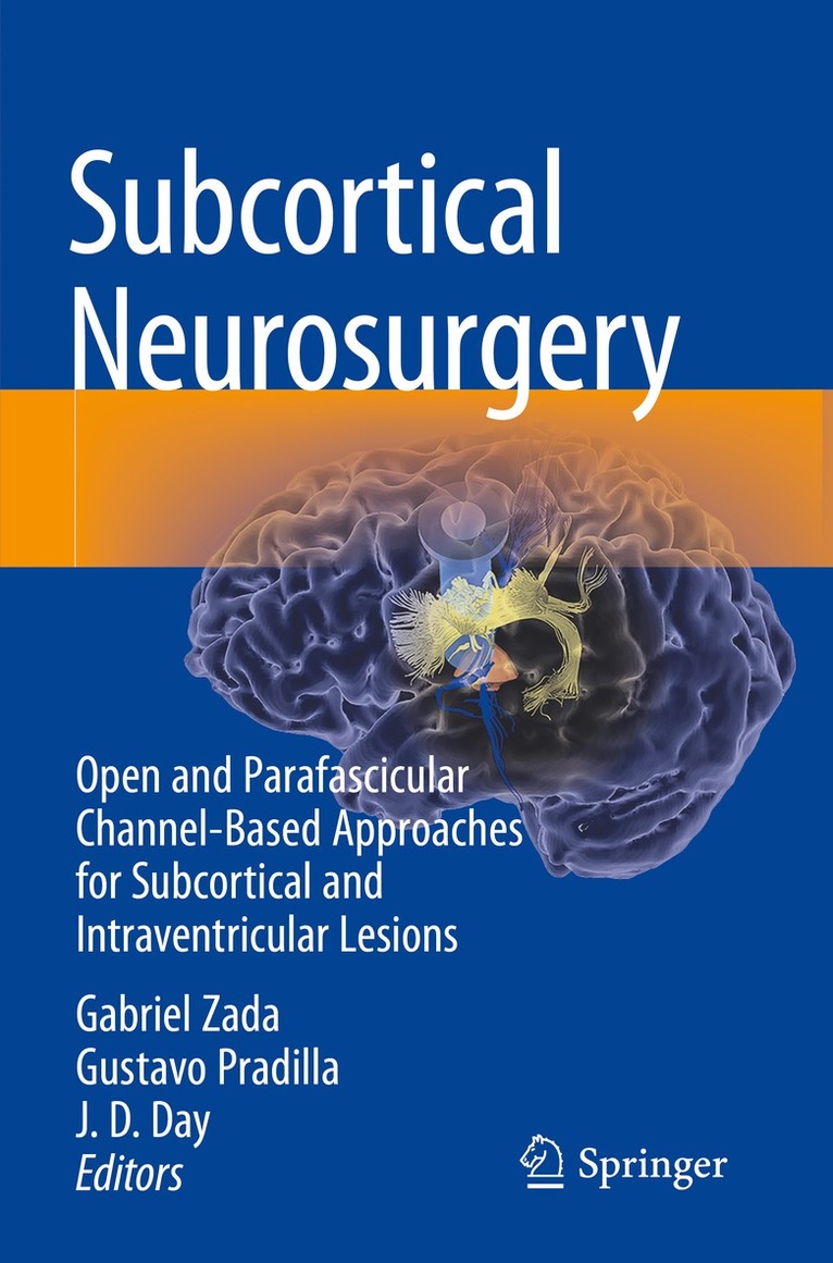 Subcortical Neurosurgery 1