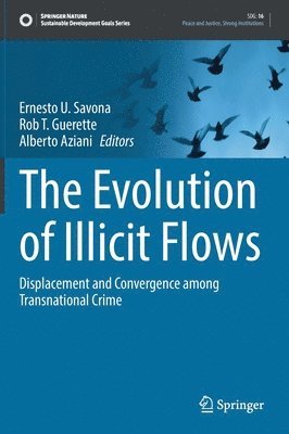 bokomslag The Evolution of Illicit Flows