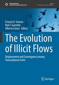 bokomslag The Evolution of Illicit Flows