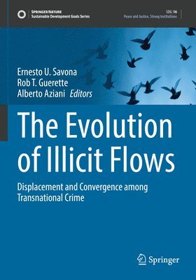 bokomslag The Evolution of Illicit Flows