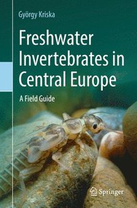 bokomslag Freshwater Invertebrates in Central Europe