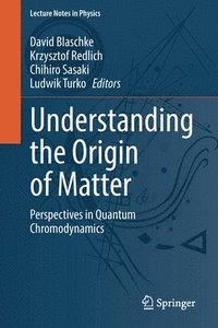 bokomslag Understanding the Origin of Matter