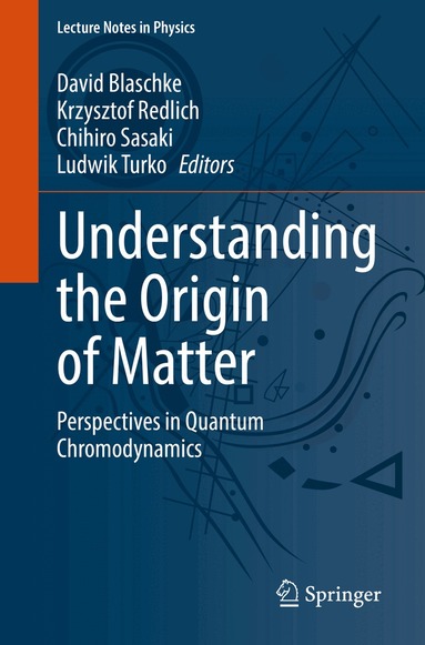 David Blaschke, Krzysztof Redlich, Chihiro Sasaki, Ludwik Turko - Understanding the Origin of Matter, Häftad