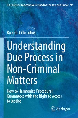 bokomslag Understanding Due Process in Non-Criminal Matters