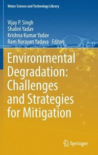 bokomslag Environmental Degradation: Challenges and Strategies for Mitigation
