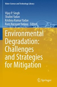 bokomslag Environmental Degradation: Challenges and Strategies for Mitigation