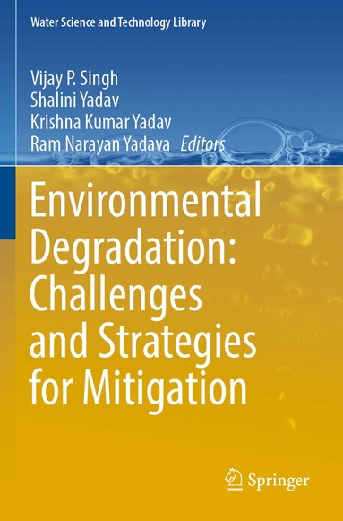 Vijay P. Singh, Shalini Yadav, Krishna Kumar Yadav, Ram Narayan Yadava - Environmental Degradation: Challenges and Strategies for Mitigation, Häftad