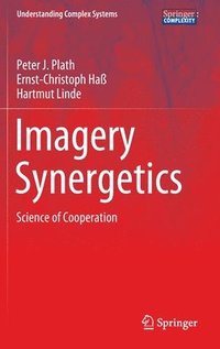 bokomslag Imagery Synergetics