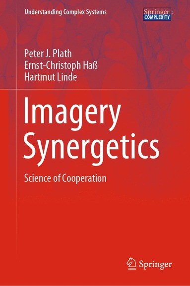 bokomslag Imagery Synergetics