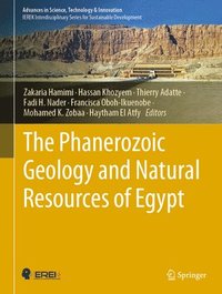 bokomslag The Phanerozoic Geology and Natural Resources of Egypt