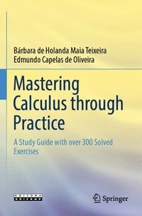 bokomslag Mastering Calculus through Practice
