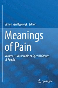 bokomslag Meanings of Pain