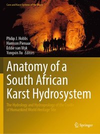 bokomslag Anatomy of a South African Karst Hydrosystem