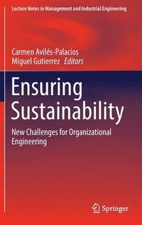 bokomslag Ensuring Sustainability