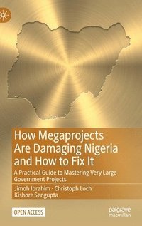 bokomslag How Megaprojects Are Damaging Nigeria and How to Fix It