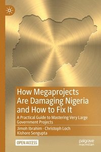 bokomslag How Megaprojects Are Damaging Nigeria and How to Fix It