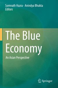bokomslag The Blue Economy
