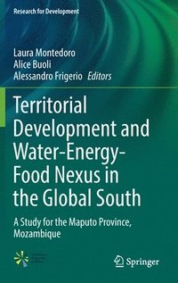 bokomslag Territorial Development and Water-Energy-Food Nexus in the Global South