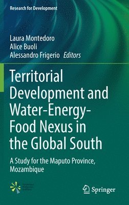 bokomslag Territorial Development and Water-Energy-Food Nexus in the Global South