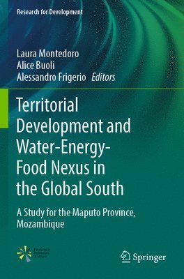 bokomslag Territorial Development and Water-Energy-Food Nexus in the Global South