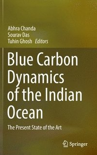 bokomslag Blue Carbon Dynamics of the Indian Ocean