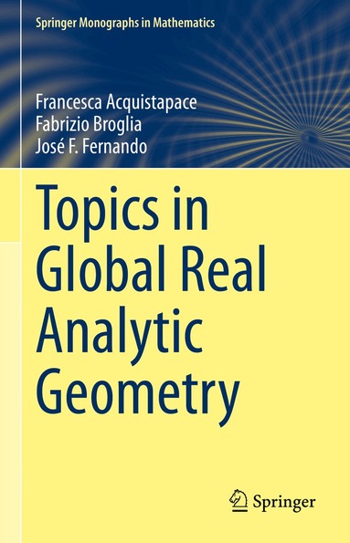 Francesca Acquistapace, Fabrizio Broglia, José F. Fernando - Topics in Global Real Analytic Geometry, Inbunden