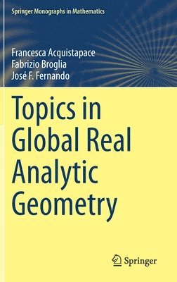 bokomslag Topics in Global Real Analytic Geometry