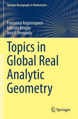 Francesca Acquistapace, Fabrizio Broglia, José F. Fernando - Topics in Global Real Analytic Geometry, Häftad