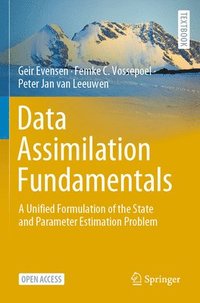 bokomslag Data Assimilation Fundamentals