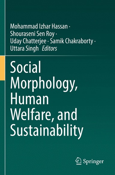 bokomslag Social Morphology, Human Welfare, and Sustainability