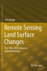 bokomslag Remote Sensing Land Surface Changes